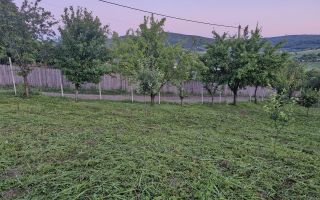 Teren intravilan de vanzare, Chicerea, 740 mp, strada Canarului, Tomesti - Poză 6