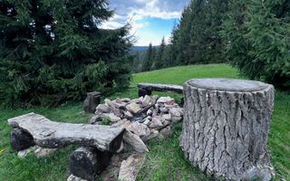 Cabana Exclusivista de vanzare in Belis - Cluj + 14.715 mp teren - Poză 3