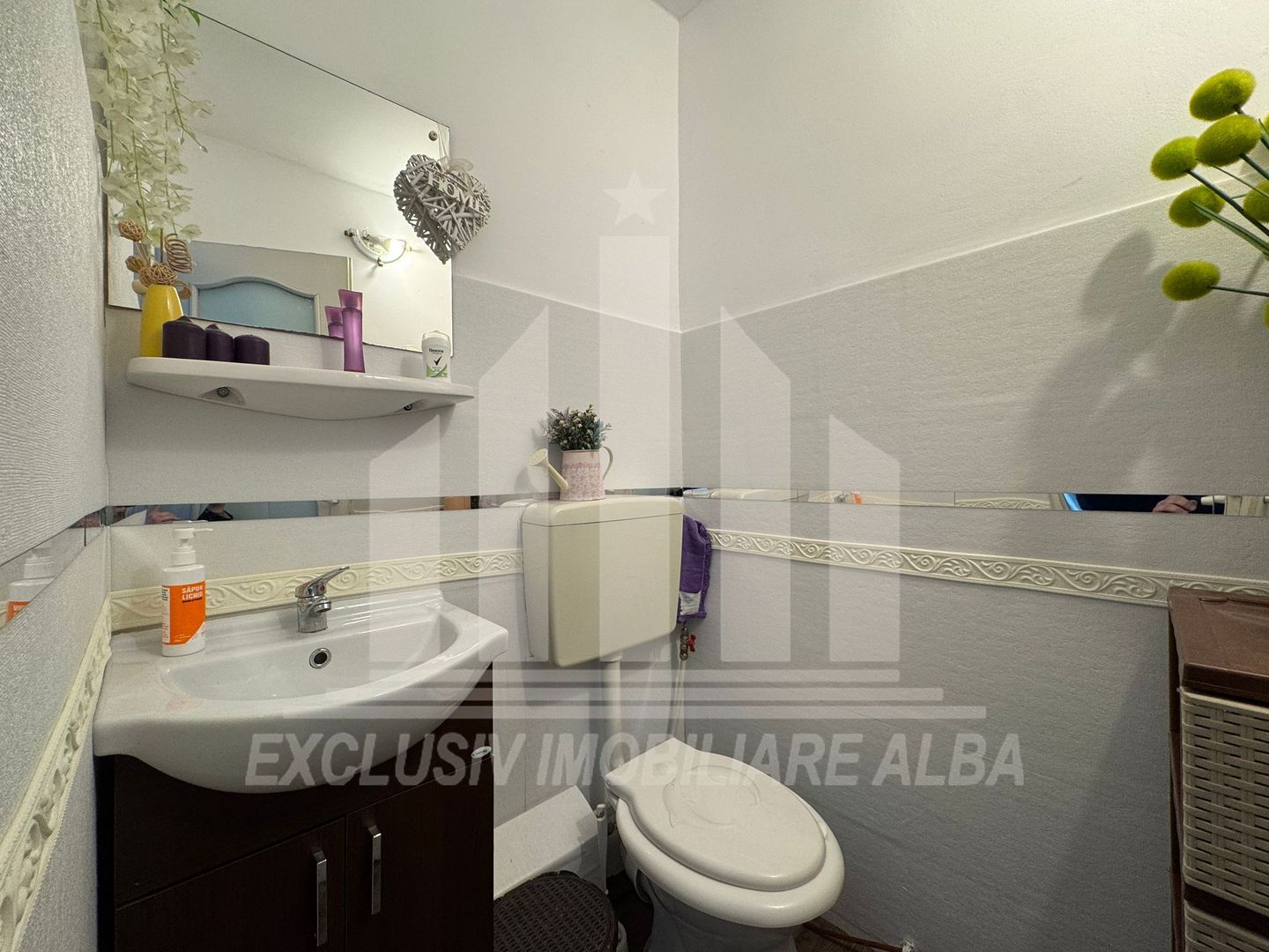 Spatiu comercial | De inchiriat | 70 mp | Cetate - Mercur - Poză 4