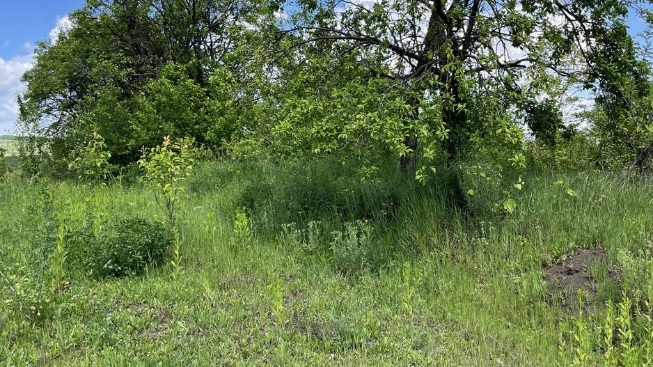 Casa in Comuna Geaca - Poză 23