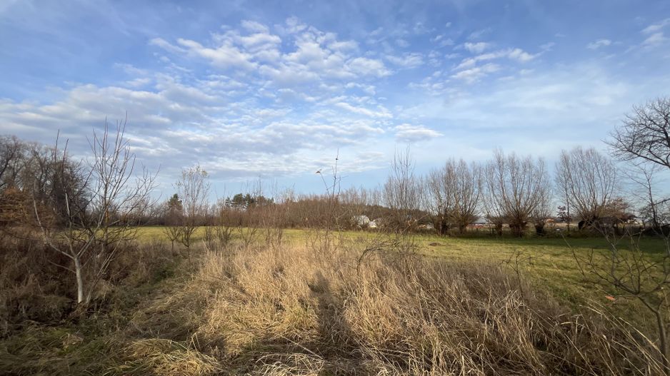 TEREN INTRAVILAN GENEROS | 72 ARI | GALANESTI - Poză 8