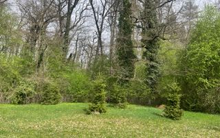 TEREN INTRAVILAN 1800 MP MIHAESTI ARGES COMISION 0 - Poză 3