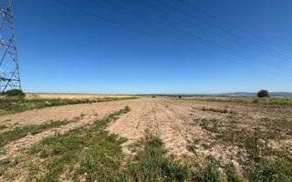 Teren intravilan | 1300 MP | 1000€  arul - Poză 2