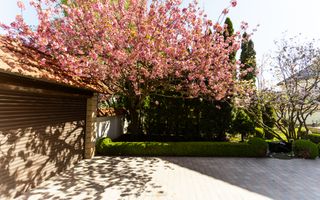 Chirie, casă, 3 nivele, 5 camere, strada Drumul Viilor, Telecentru - Poză 41