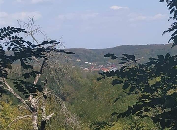 Casă de vânzare la liziera pădurii – Comuna Bogați, Argeș - Poză 16