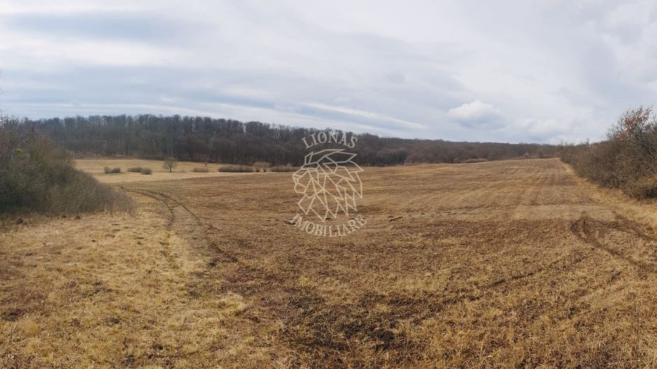 Teren 104,731 mp-Parcelabil-Vedere panoramica-Valea Castailor - Poză 1