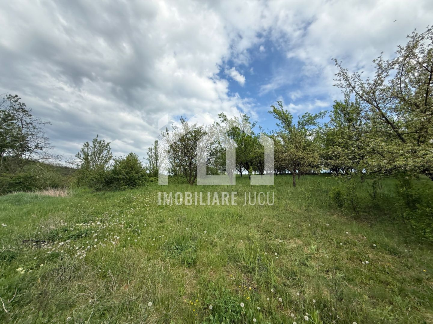 Teren intravilan construibil – 2.100 mp | Căianu - Poză 6