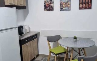 Apartament de inchiriat 1 camera, 40 mp, zona centrala Iasi, langa McDonalds Gara - Poză 4