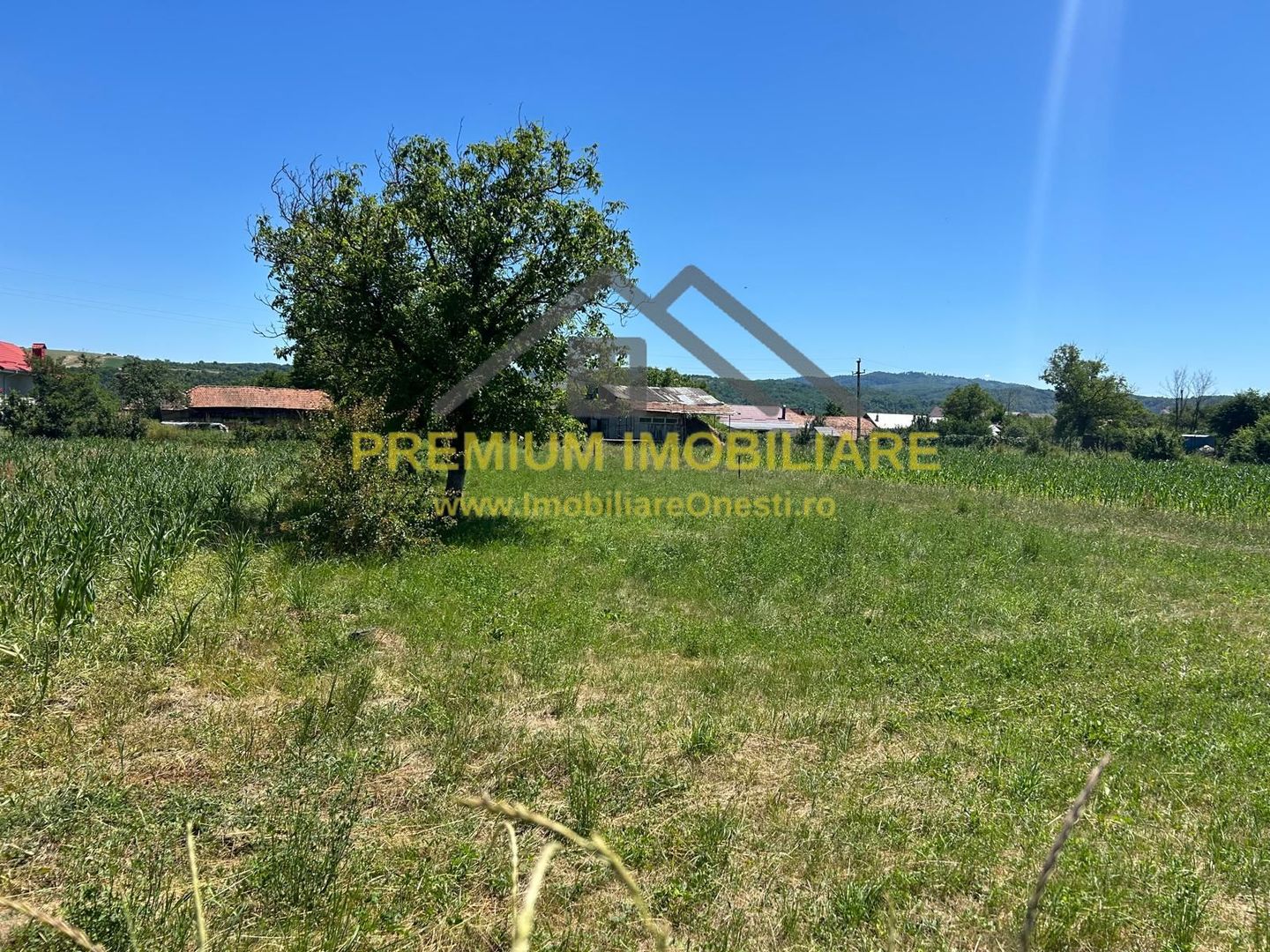 Teren intravilan de vânzare – Cașin, județul Bacău - Poză 4