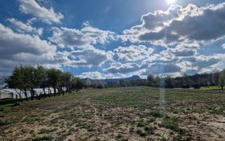 Teren 1,93 ha în Breb, Maramureș – zonă pitorească, Tăul Sărat - Poză 2