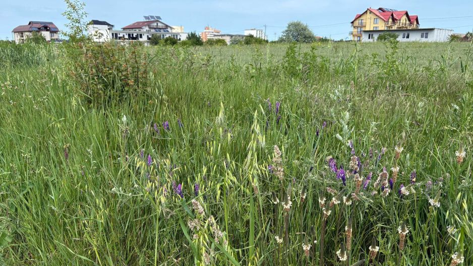 Teren intravilan 633 mp, Costinești, zonă cu potențial investițional - Poză 2