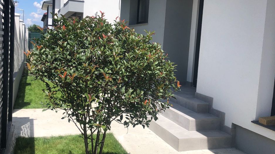 PROMOTIE! | Vila individuala 5 camere | Otopeni | Odaile - Poză 6