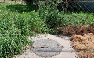 Teren intravilan 3.250 mp în Filești – Ideal pentru casă sau investiție! - Poză 11