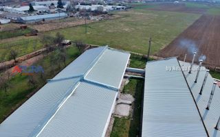 COMISION 0% - HALE Calinesti Arges - Poză 12