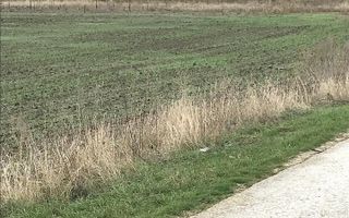 CORBU spre plaja Corbu, teren intravilan 965 mp. ideal constructii - Poză 4