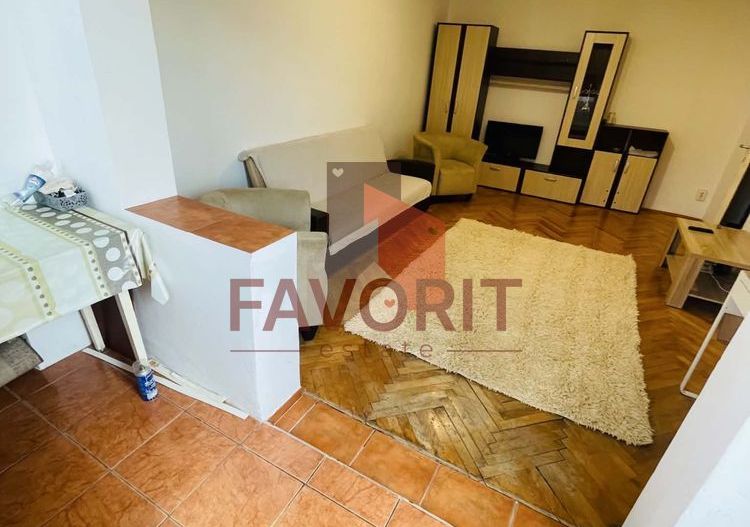 Apartament cu 2 camere | Centrala | Zona Lipovei | Pet Friendly - Poză 2
