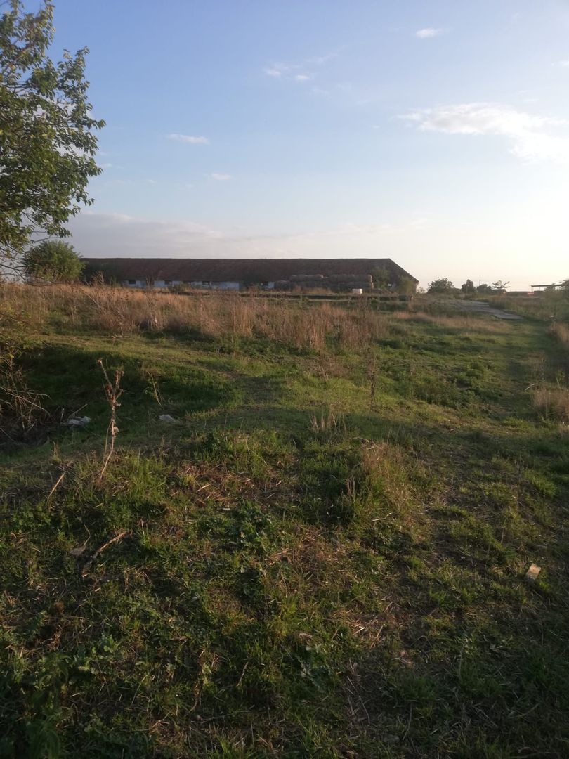 Ferma de vânzare - Poză 6