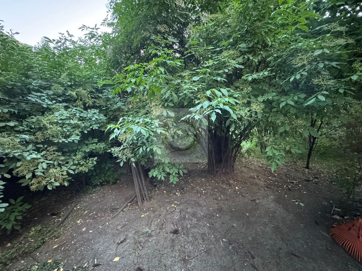 Teren și casă de vânzare în Miercurea Ciuc, zona L1u (strada Leliceni) - Poză 25