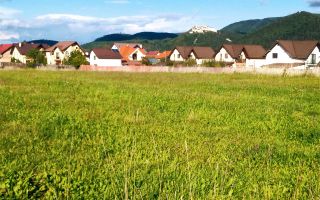 Teren intravilan, Rasnov, Brasov, 5.000+3.000 mp , vedere montana - Poză 5
