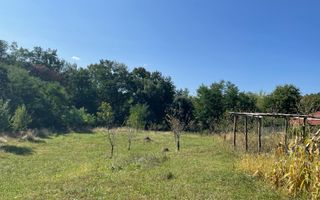 TEREN INTRAVILAN 1800 MP MIHAESTI ARGES COMISION 0 - Poză 4