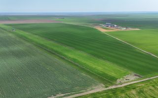 Teren de vanzare in Săcele ideal pentru silozuri, fermă 6 ha - Poză 13