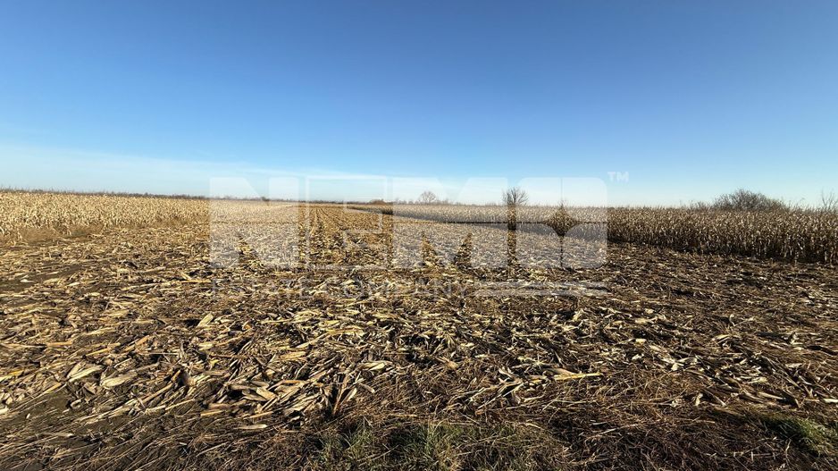 TEREN EXTRAVILAN  51 ARI |  HORODNIC DE JOS  | - Poză 7