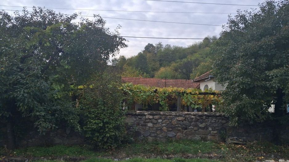 Casă tradițională cu teren generos – Borosteni, Peștișani, jud. Gorj - Poză 4