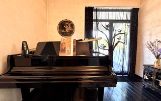 Vila cu 5 camere *344mp* + 800mp Teren // Zona Bucurestii Noi - Poză 10