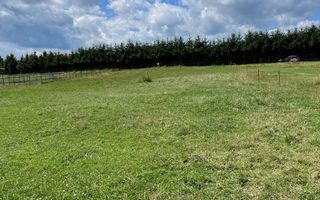 INVESTIȚIE | Teren 5000 mp PUZ APROBAT intravilan - zona Sohodol -Bran - Poză 7