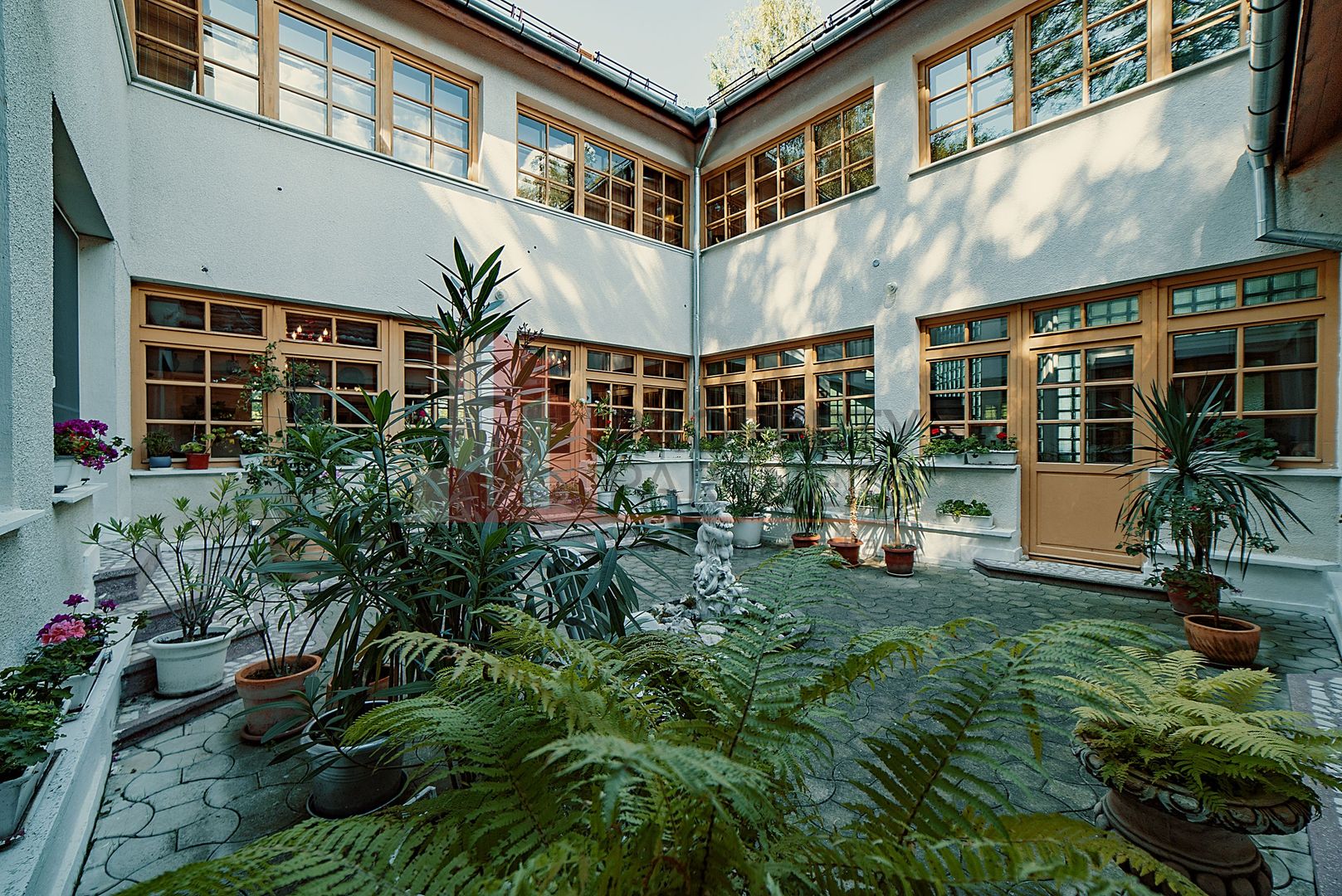 Vila superba langa Castelul Bran - Poză 15