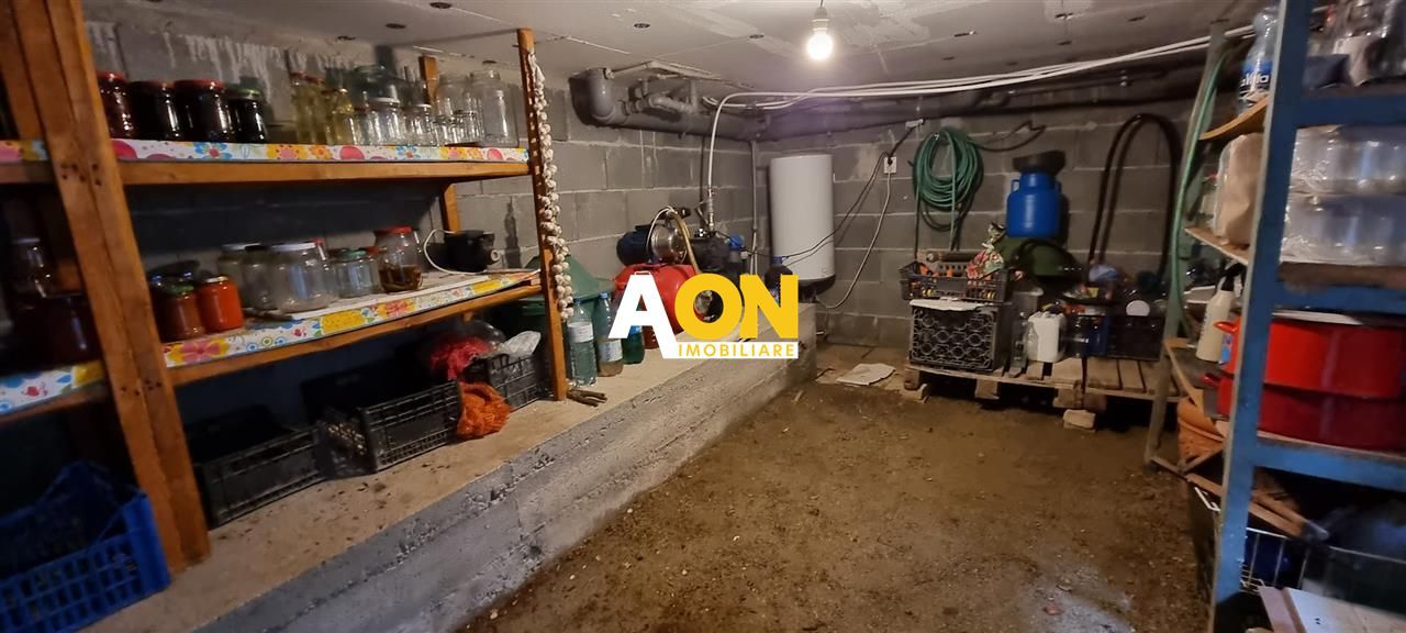 Casa Individuala 4 Camere 1000mp Teren, Sard, com. Ighiu - Poză 19