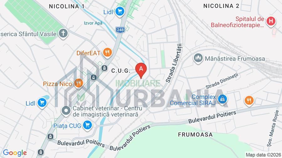 Apartament 3 camere Nicolina CLOPOTARI - Poză 10