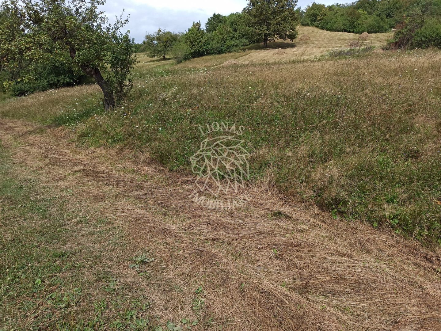 Teren 5200 mp-ideal cabane, case de vacante, agricultura-Livezile - Poză 3