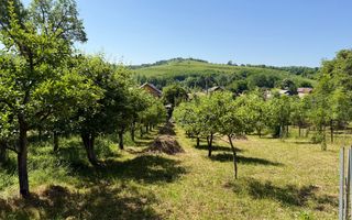 Vanzare casa cu 4 camere+anexe într-o zonă de poveste – Bezdead - Poză 17