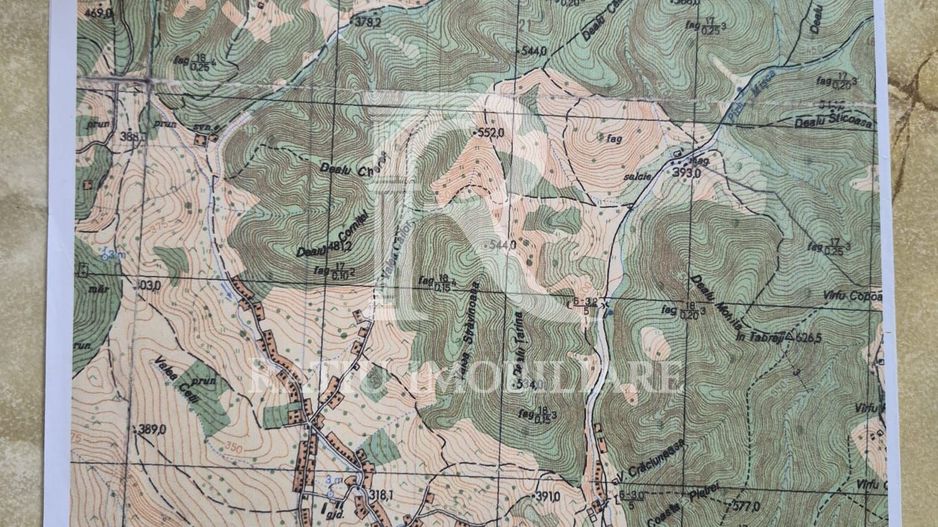 Teren Partial Intravilan | 3 ha | Serani | Bihor - Poză 3