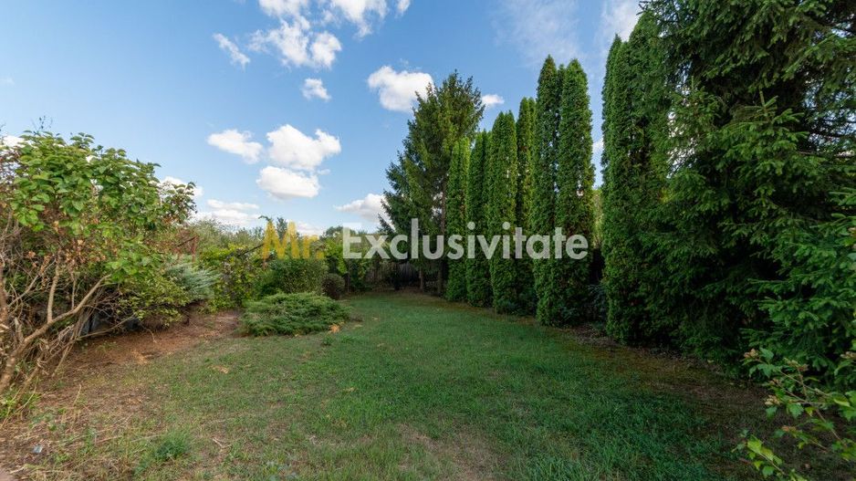 Casa in Valea Ursului + 1500 mp teren -jud. Arges - Poză 9