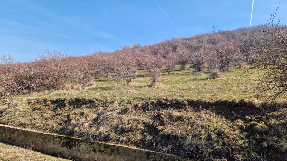 Teren extravilan,  zona si priveliste superba, Cuvin - Poză 6