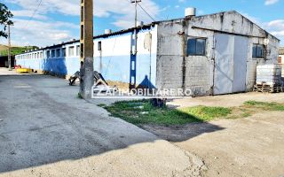 Hale cu suprafete utile de 832 mp si 578 mp. birouri 187 mp - Poză 2