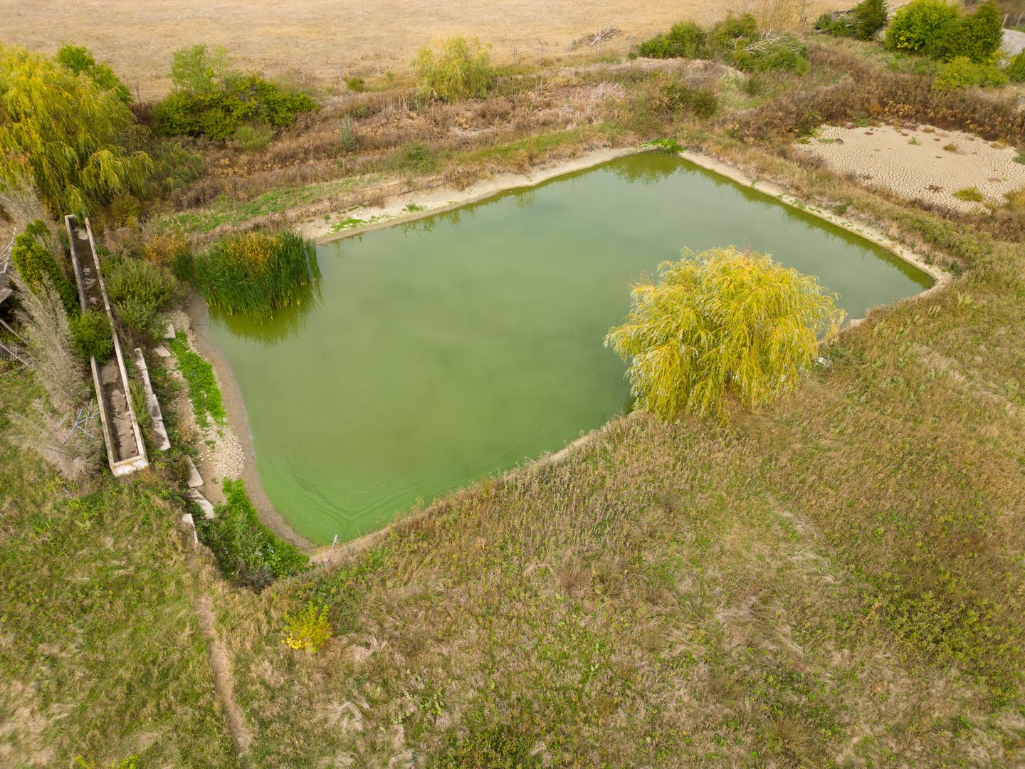Teren 13.418 mp intravilan cu casă și 2 iazuri - Poză 6