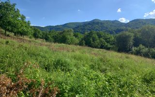Teren în Fântânele – 3.673 mp, pârâu si cadru natural  deosebit - Poză 10