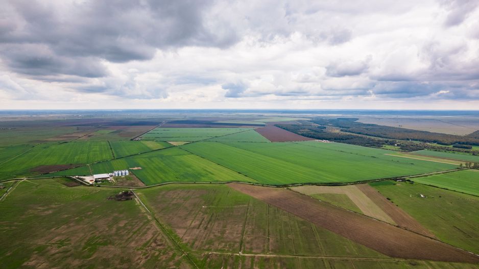 Teren 13500000 mp în Socodor - Poză 2