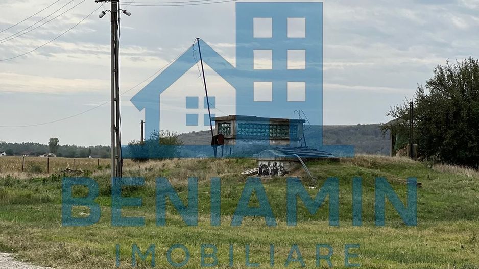 60.000mp Ferma de bovine, păsări, porcine, culturi agricole Diverse - Poză 8