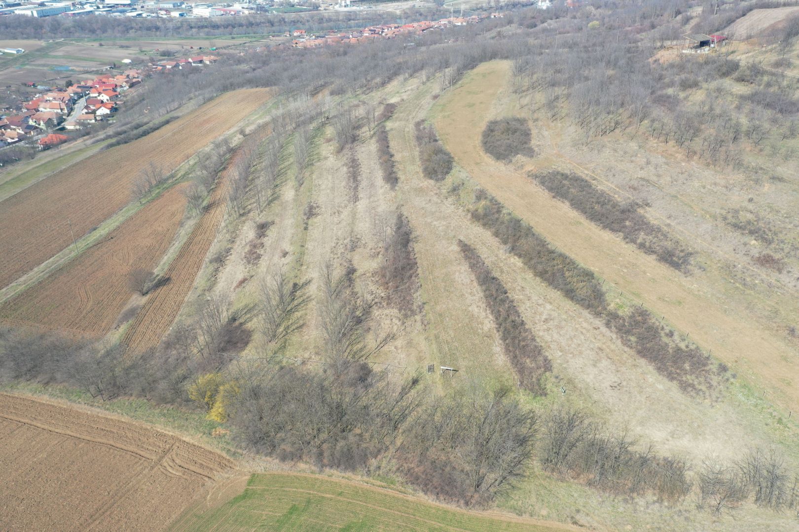 Teren intravilan in Ciugud - Poză 2