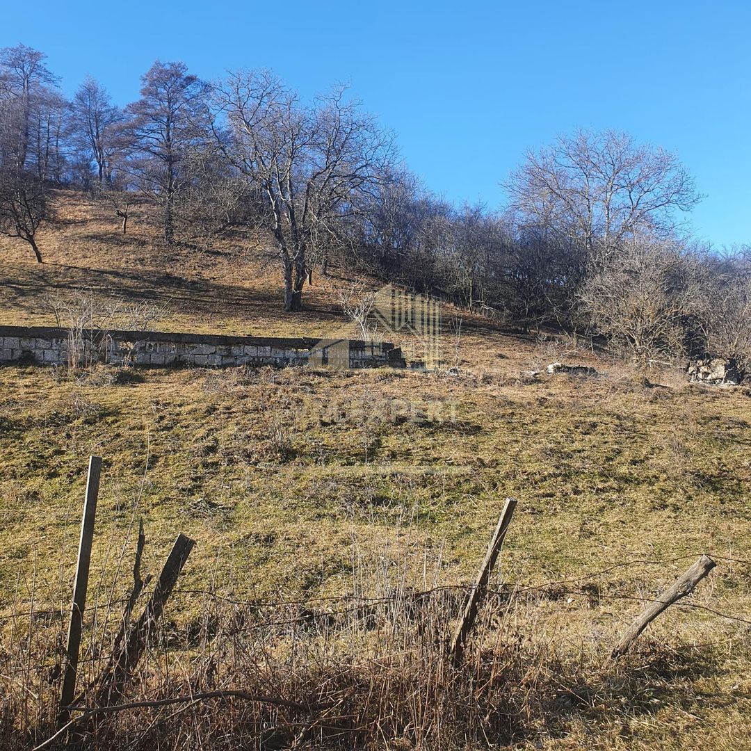 TEREN INTRAVILAN 4614 MP, CAMPULUNG - VALEA ROMANESTILOR - Poză 1