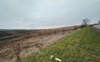 Teren 13.780 mp, Apahida, Cluj - Ideal pentru Investiție - Poză 3