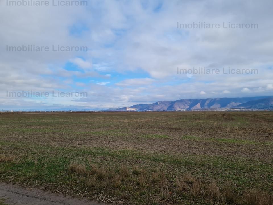 Teren Agricol 2,9 HA,intre Cristian si Vulcan/teren SPORT - Poză 5