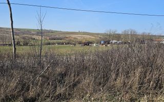 Teren intravilan Cetariu 1500 mp - Poză 7