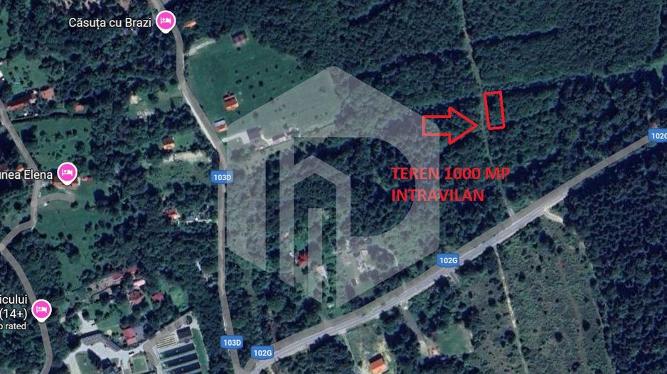 Teren 1000 mp intravilan Vistisoara - Poză 1