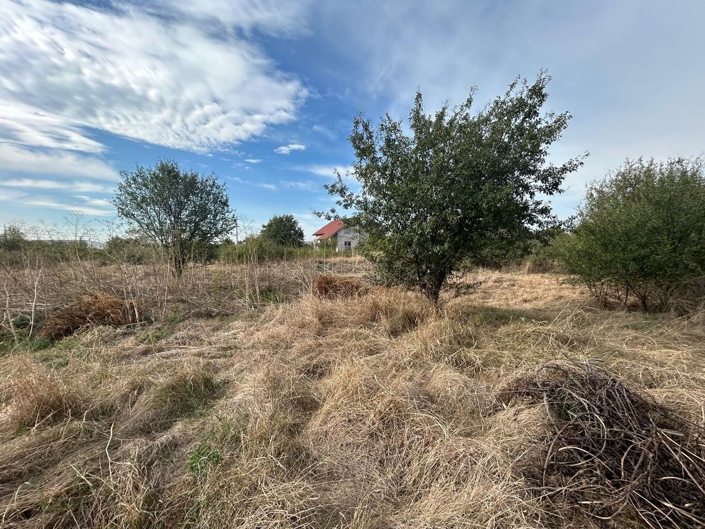 COMISION 0 | Teren intravilan | 945mp | Sacalaz Vest - Poză 6