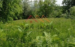 Teren 2500 mp, acces drum asfaltat, Bustenari, Telega Prahova - Poză 3